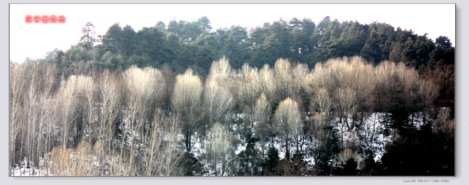 IMG_2623_副本_meitu_38.jpg