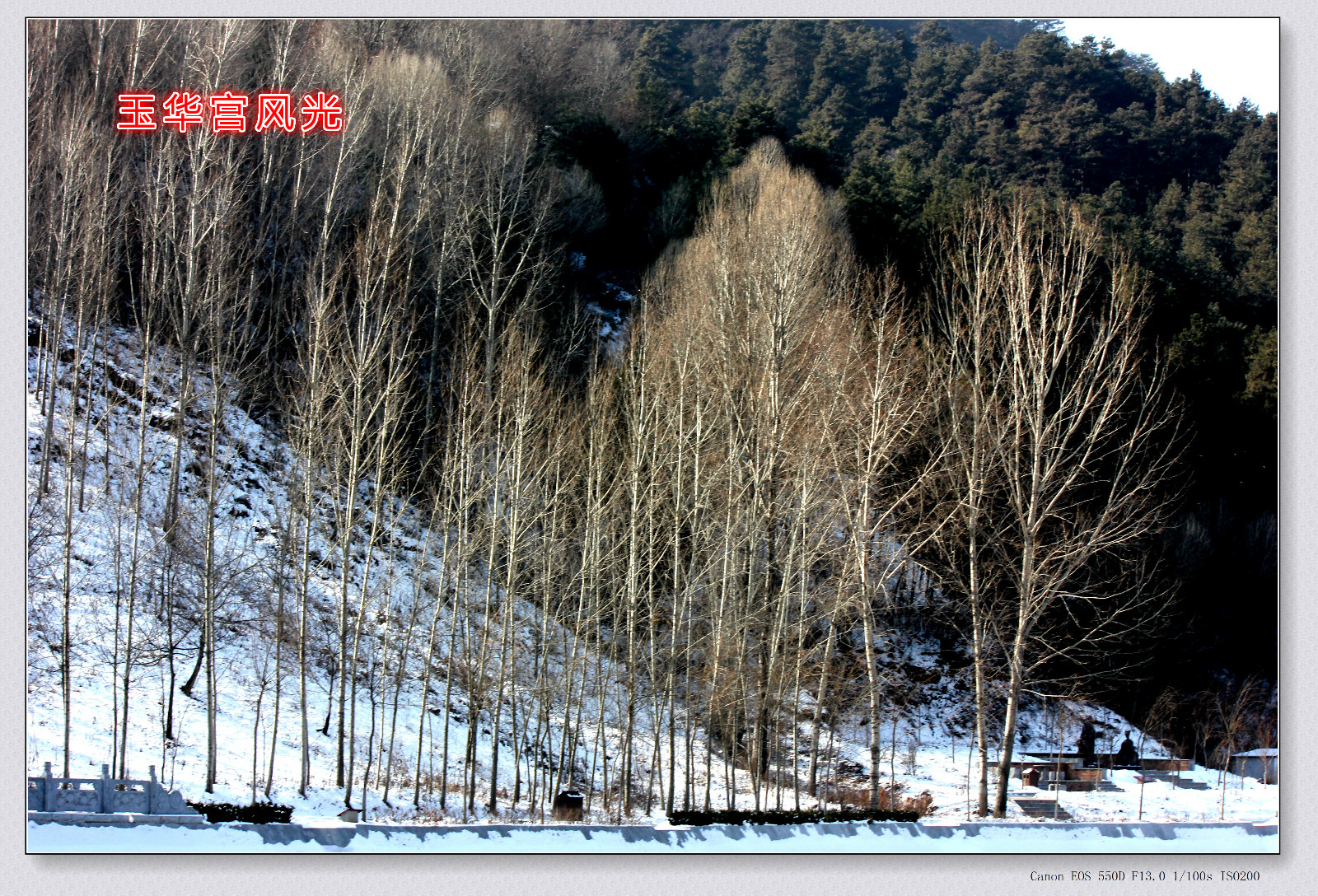 IMG_2781_副本_meitu_5.jpg