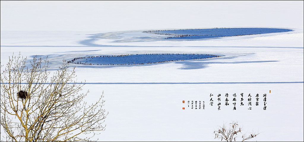 NX9A9753副本副本.jpg