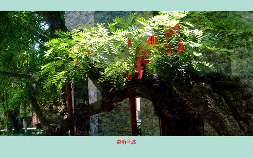 DSC00927_副本.jpg