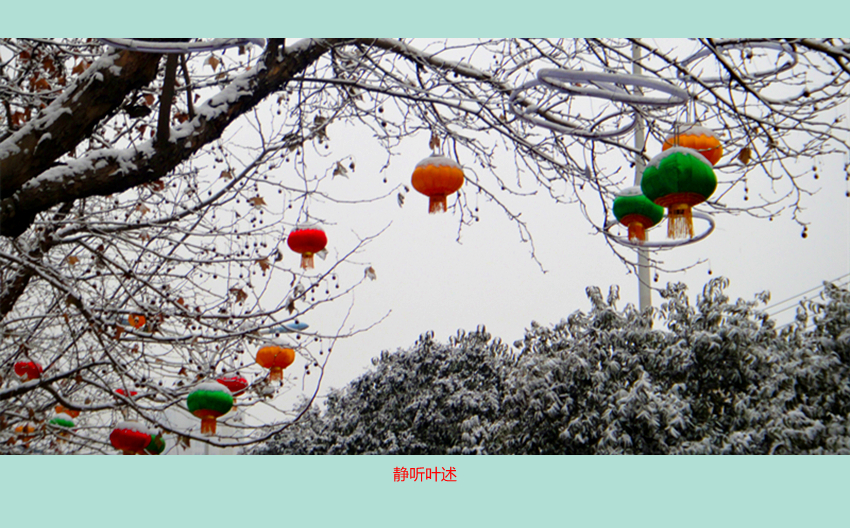 DSC09888_副本.jpg