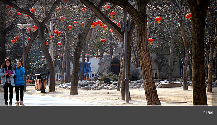 DSC08900_副本.jpg
