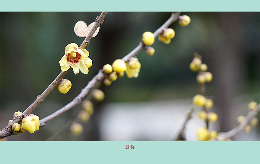 DSC08754_副本.jpg