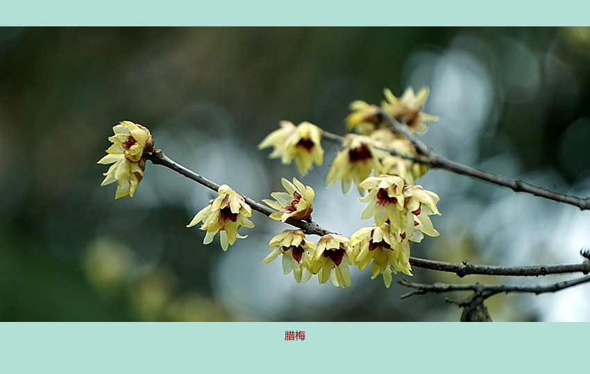 DSC08774_副本.jpg