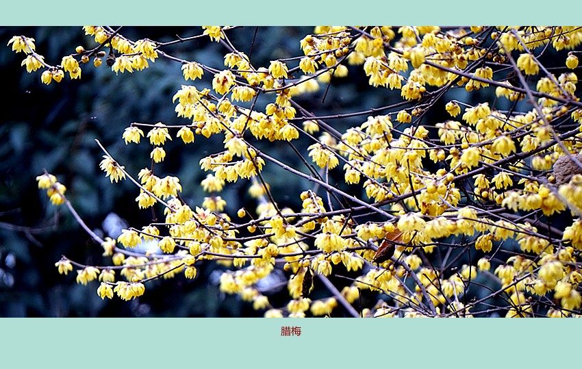 DSC08795_副本.jpg