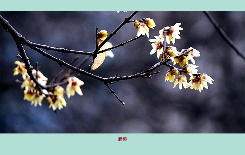 DSC08777_副本.jpg