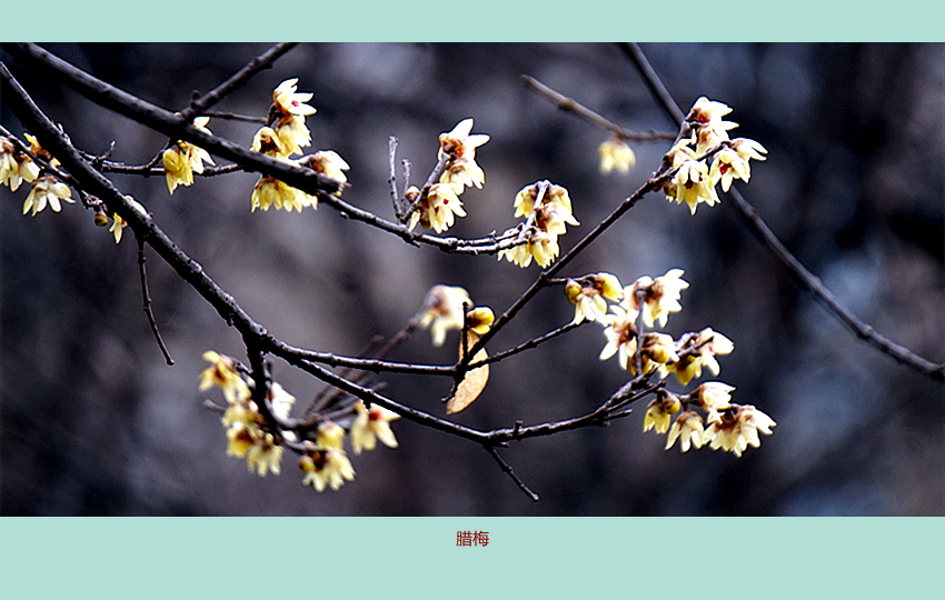 DSC08783_副本.jpg