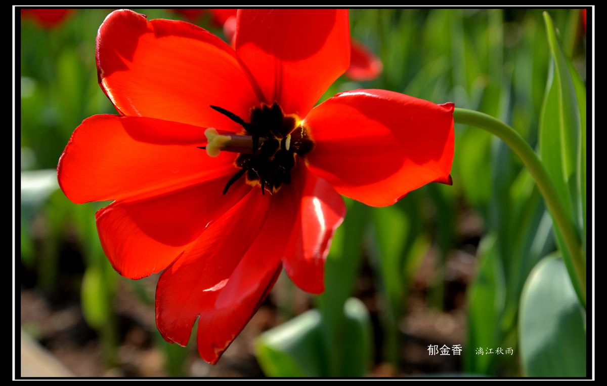 DSC_5476_副本.jpg