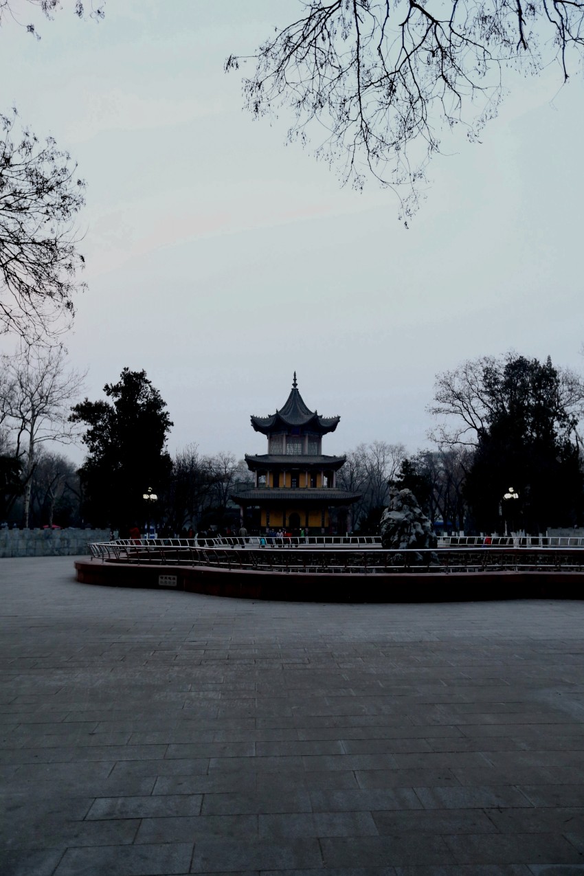 C24T3539_conew1_副本.jpg1.jpg1.jpg