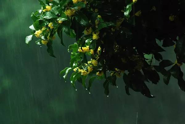 7f703374e96e0686a79992eac80880a9.jpg