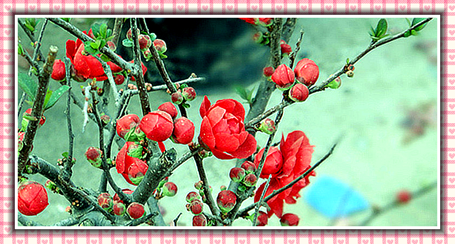 DSC00653_副本_副本_副本.jpg