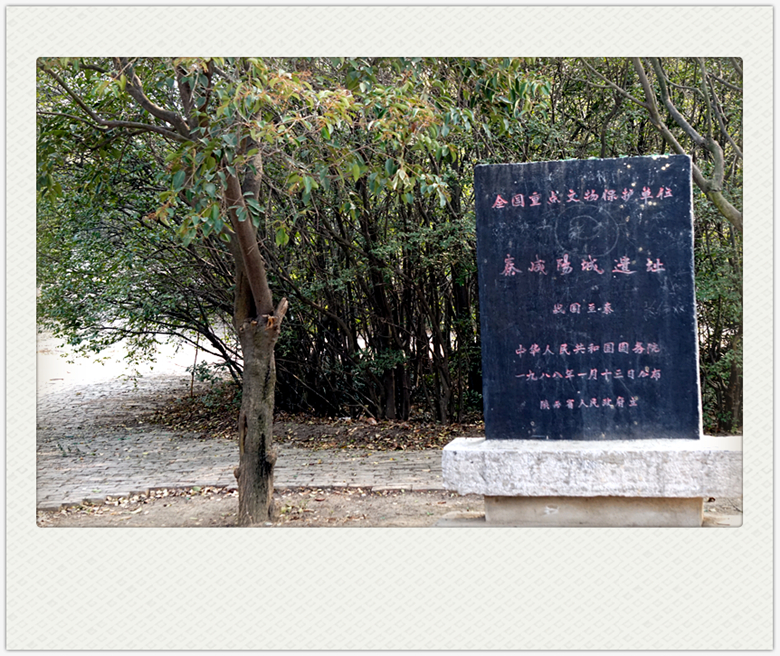 DSC09307_副本.jpg