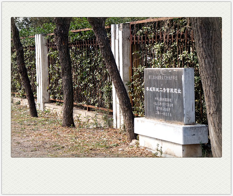 DSC09314_副本.jpg