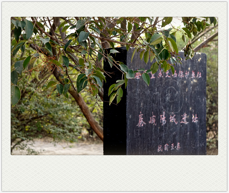DSC09311_副本.jpg