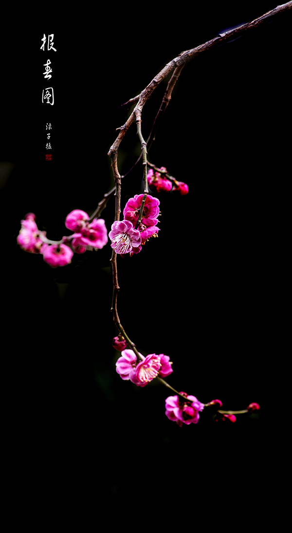 LIU_9110副本副本.jpg