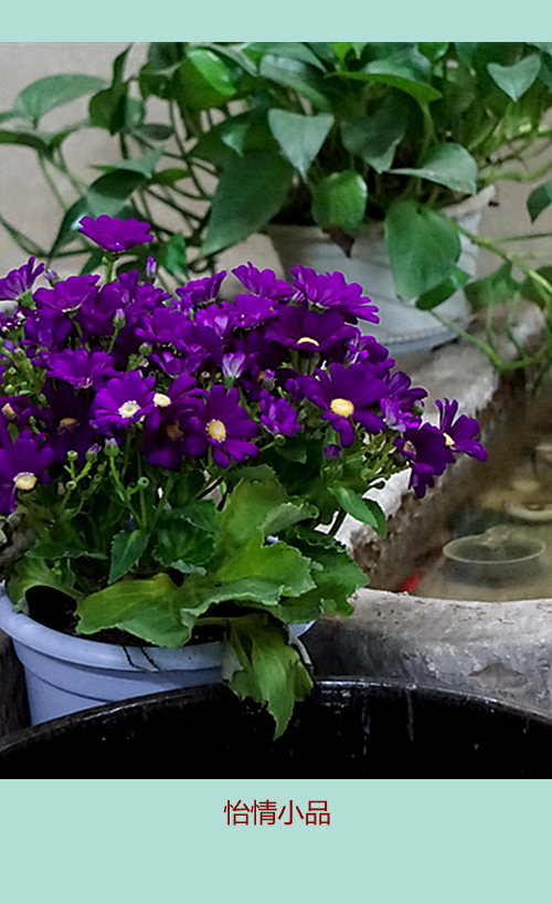 DSC09613_副本.jpg