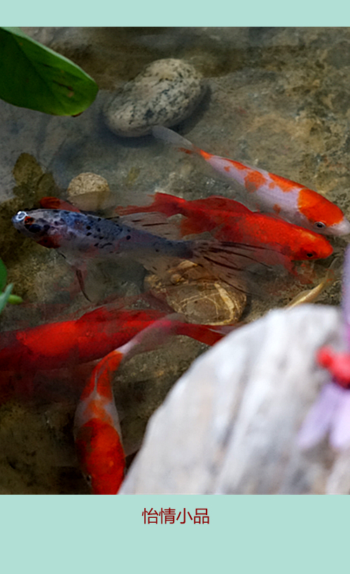 DSC09616_副本.jpg