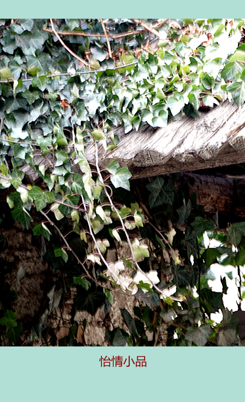 DSC09604_副本.jpg