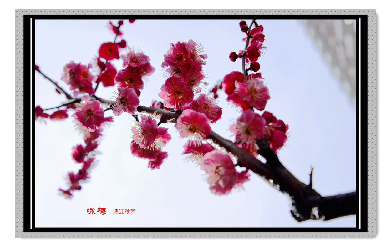 DSC_4701_副本.jpg