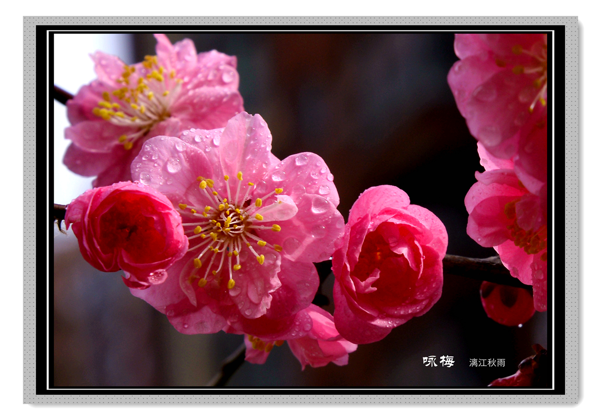 DSC_4686_副本.jpg