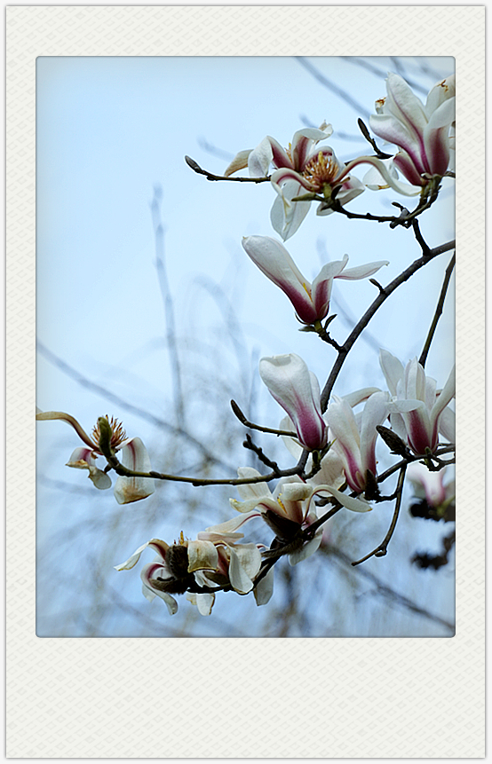 DSC09696_副本.jpg