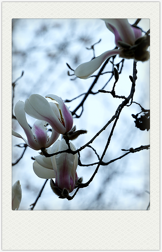 DSC09673_副本.jpg