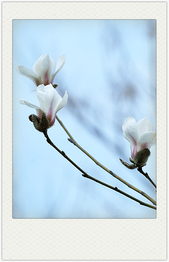 DSC09686_副本.jpg