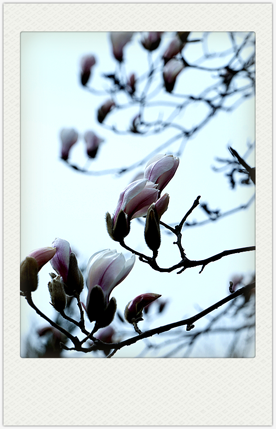 DSC09666_副本.jpg