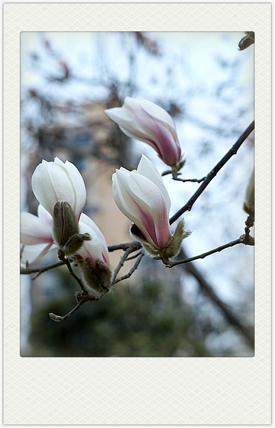 DSC09670_副本.jpg