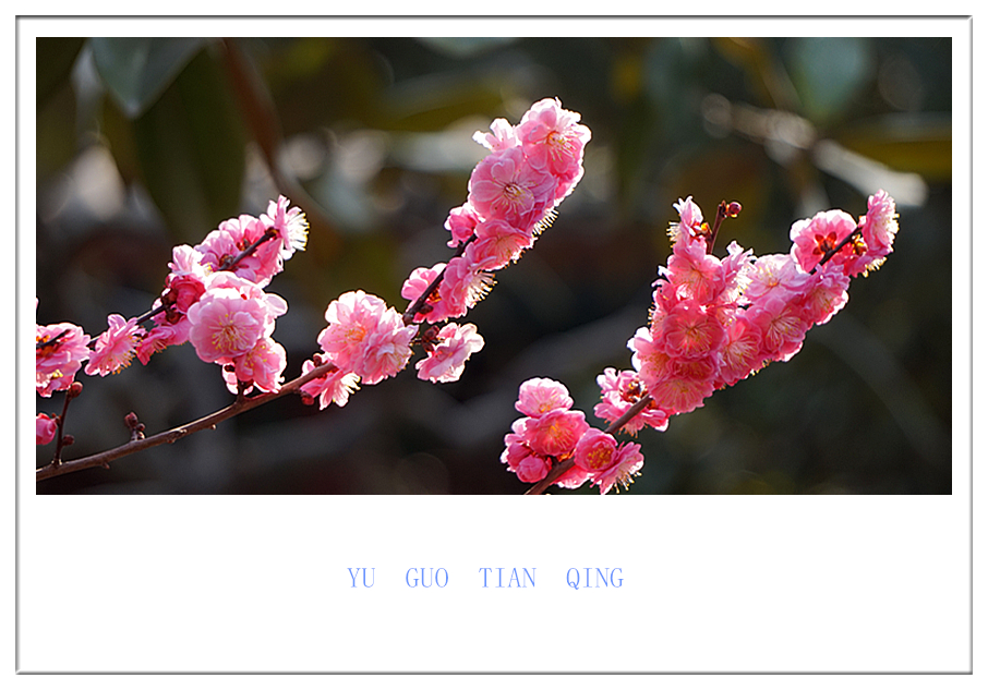 DSC09831_副本.jpg