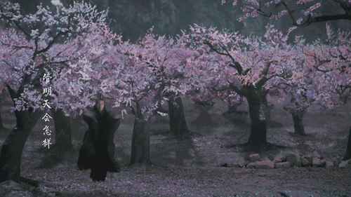 07c4e797a525f65dd20d056779385aa2.gif