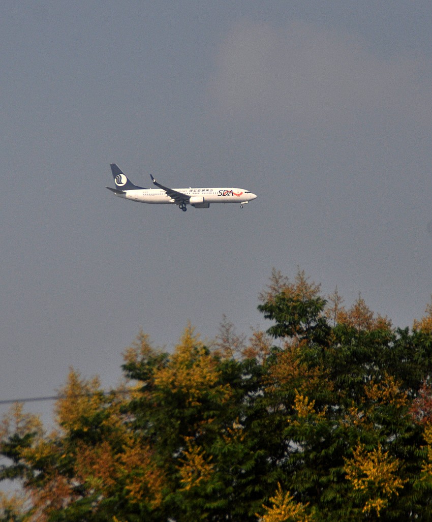 DSC_0092_conew1.jpg