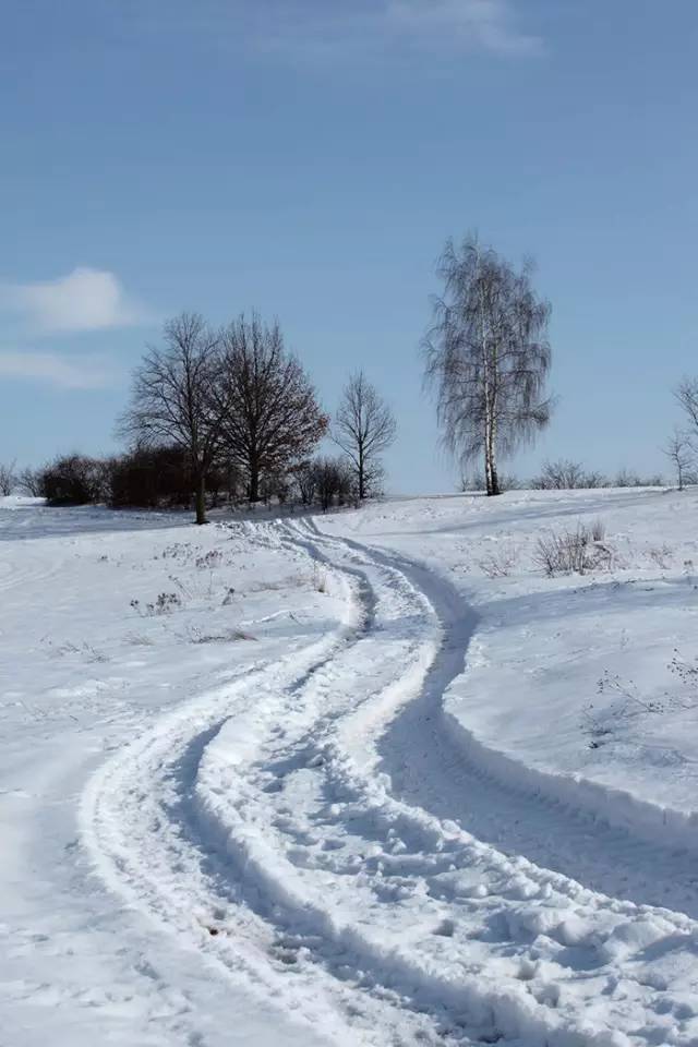 ee0586614da5ec19b38969fb115a83fd.jpg