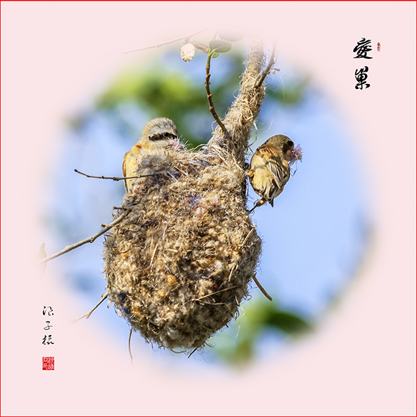 LIU_1502副本副本.jpg