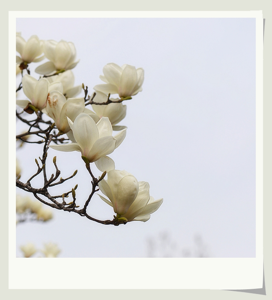 DSC_0211_副本.jpg