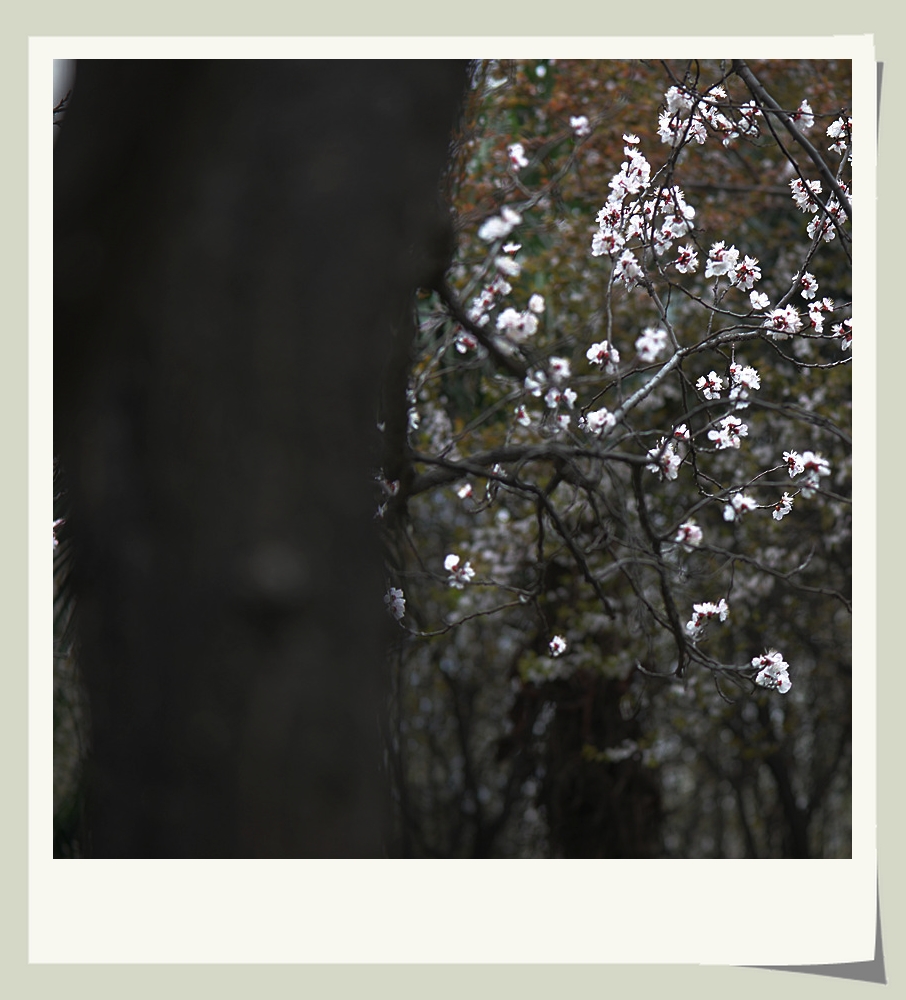 DSC_9790_副本.jpg