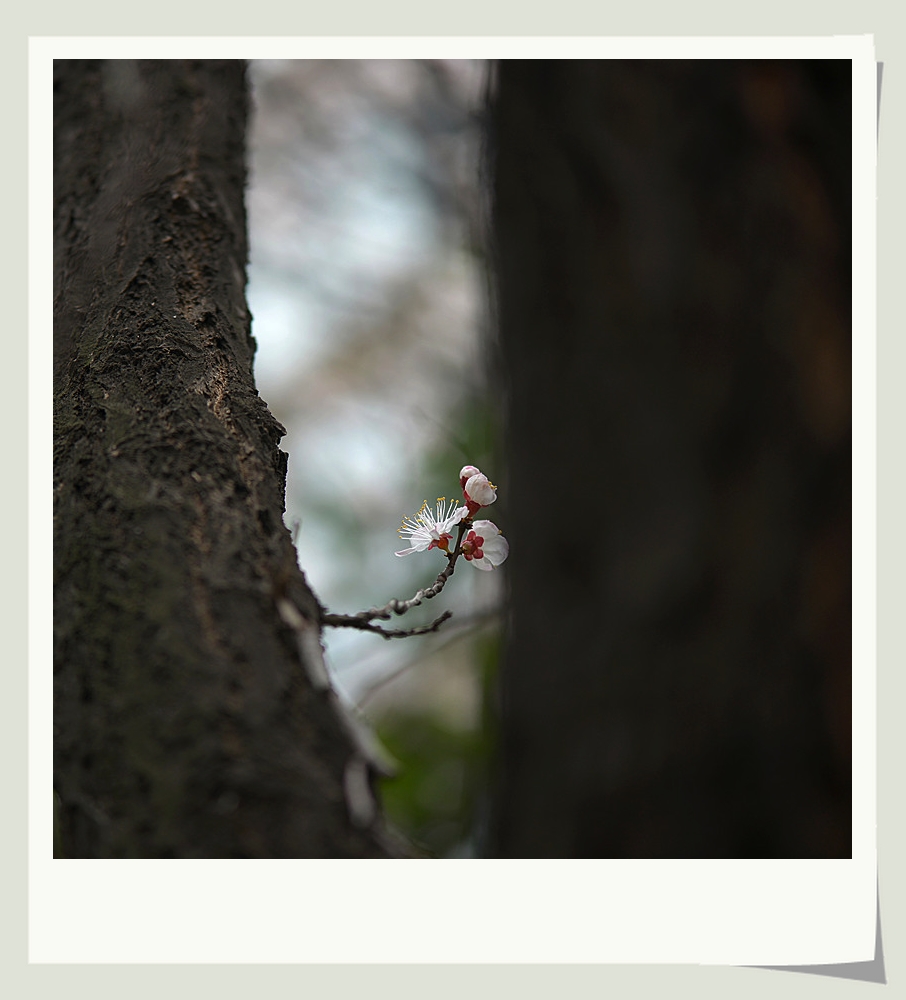DSC_9845_副本.jpg