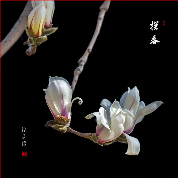 _X9A2765副本副本.jpg