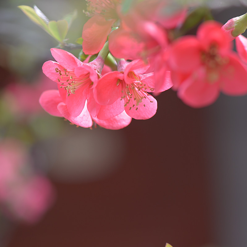 DSC_0471_副本.jpg