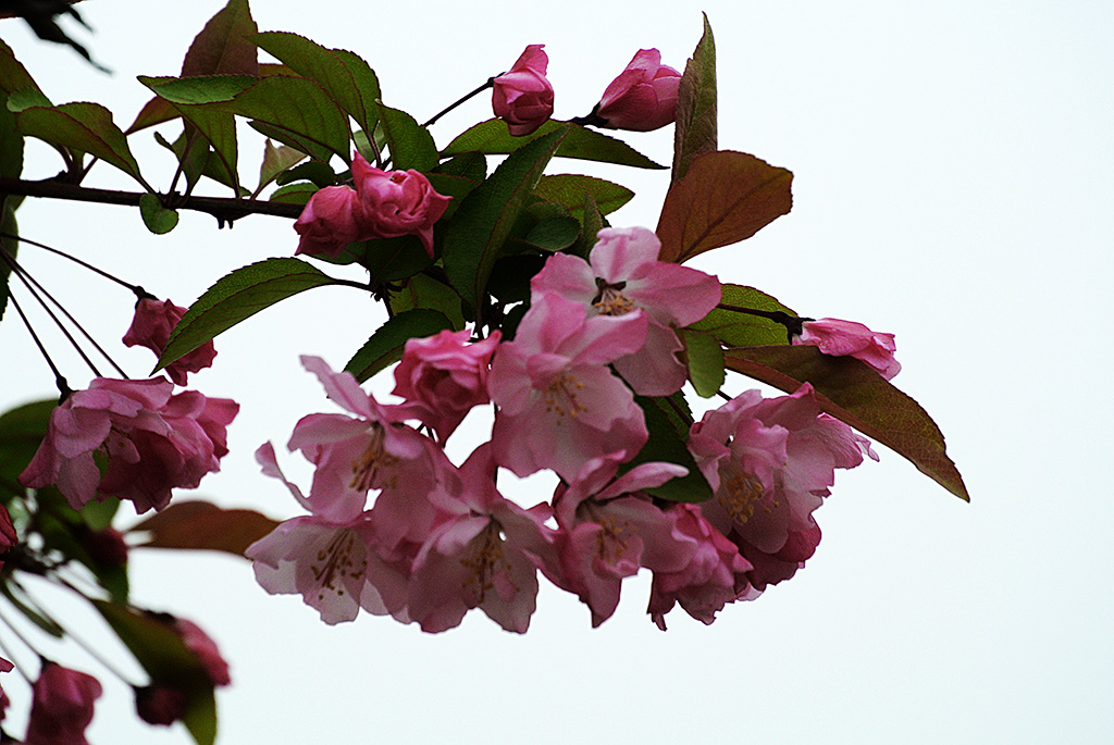 DSC_0386副本.jpg