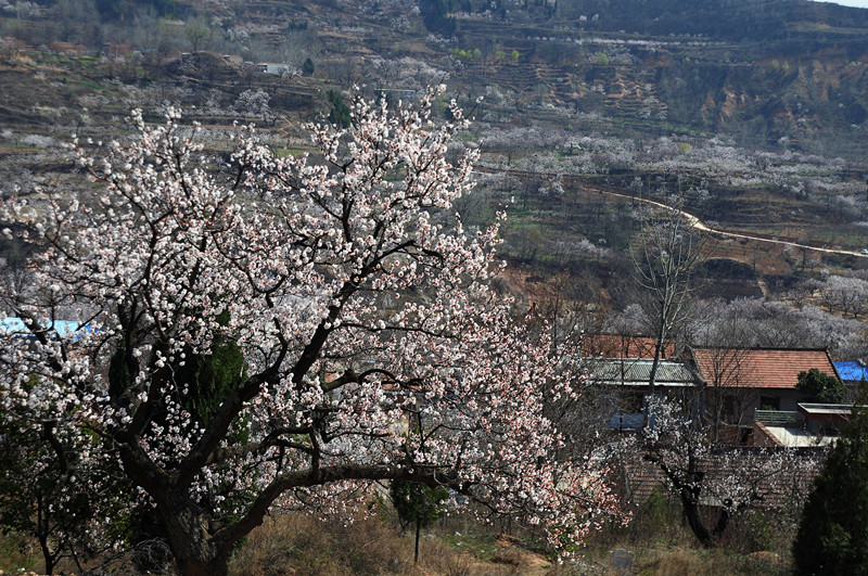 DSC_0552_副本.jpg