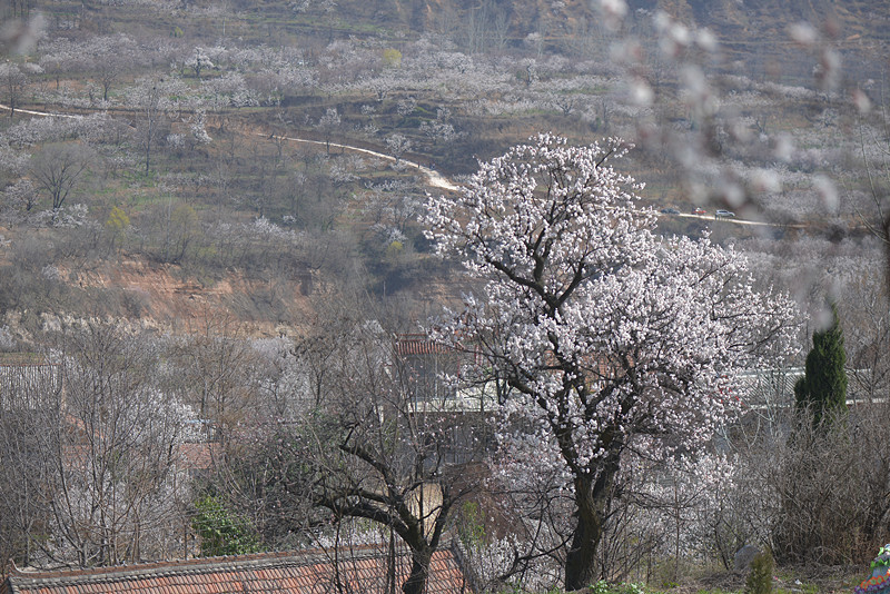 DSC_1316_副本.jpg