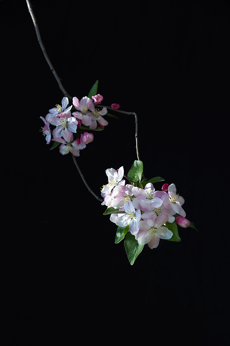 IMG_1207-1_副本_副本.jpg
