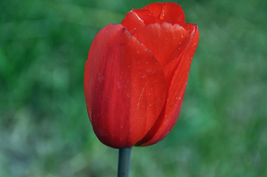 DSC_0013_conew1.jpg