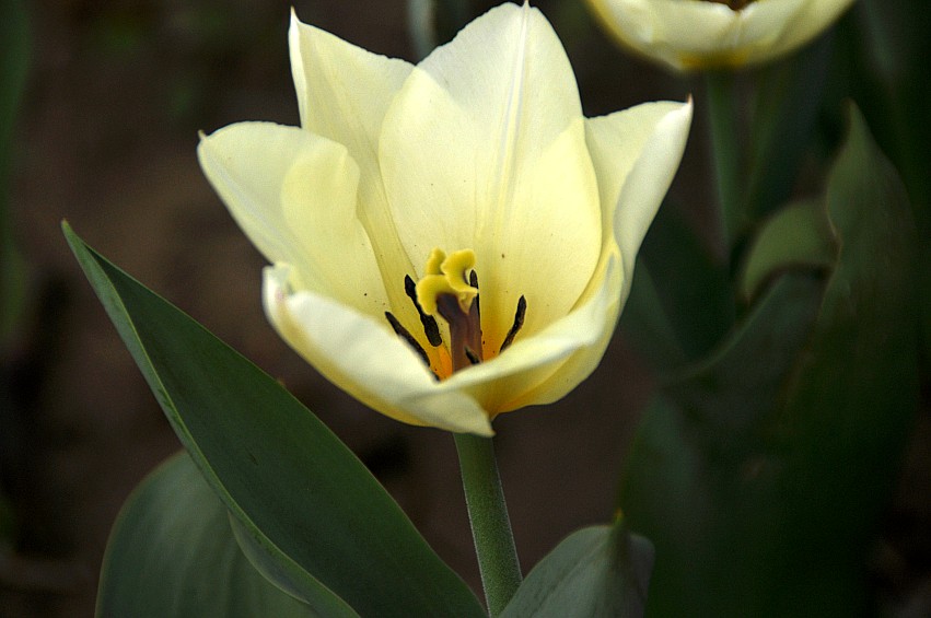 DSC_0027_conew1.jpg