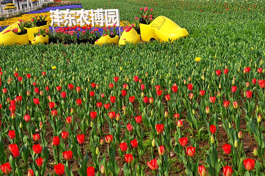 DSC_0024_conew1.jpg