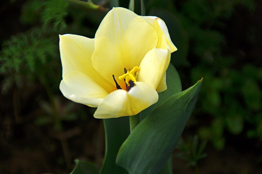 DSC_0030_conew1.jpg