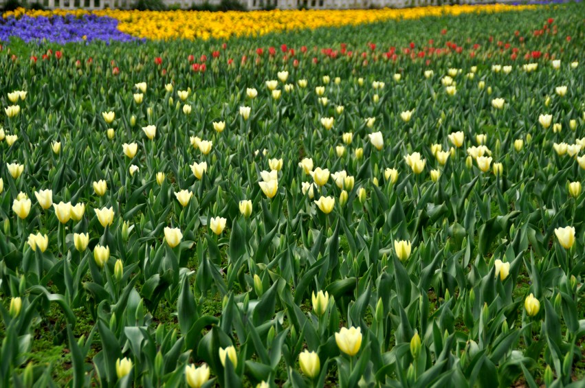 DSC_0032_conew1.jpg