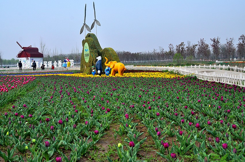 DSC_0040_conew1.jpg