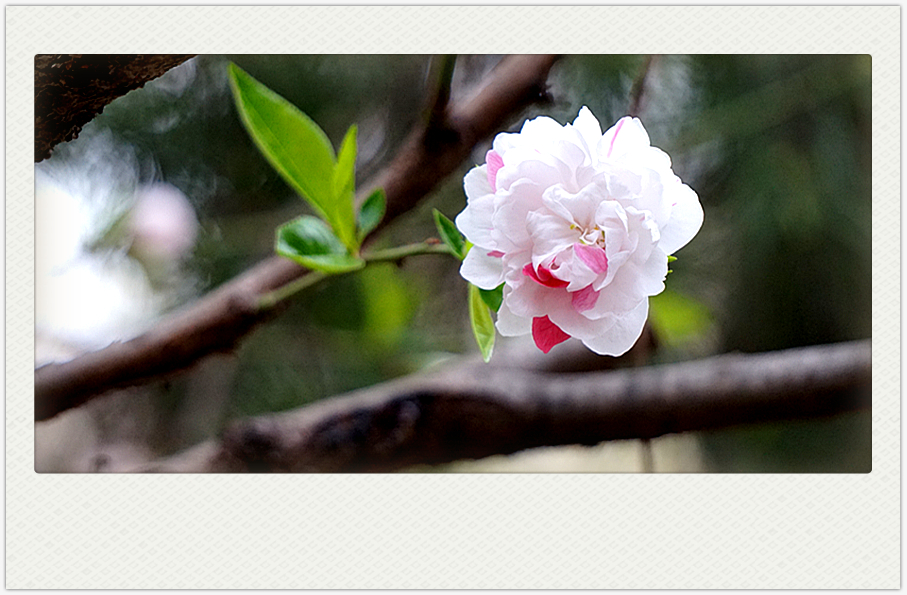 DSC00585_副本.jpg
